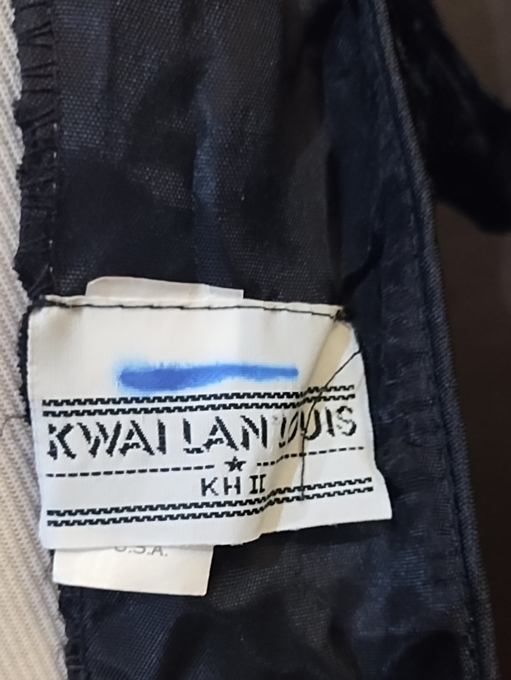 Kwai Lan Louis Black Crush Velvet Dress View 2